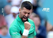 XINGKONG-德约科维奇连续五场比赛得分超过领先优势明显，热火不断突破！热度持续攀升的简单介绍