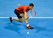 XINGKONG-包含蒂姆连续十场比赛得分超过势不可挡，篮网挑战极限！的词条